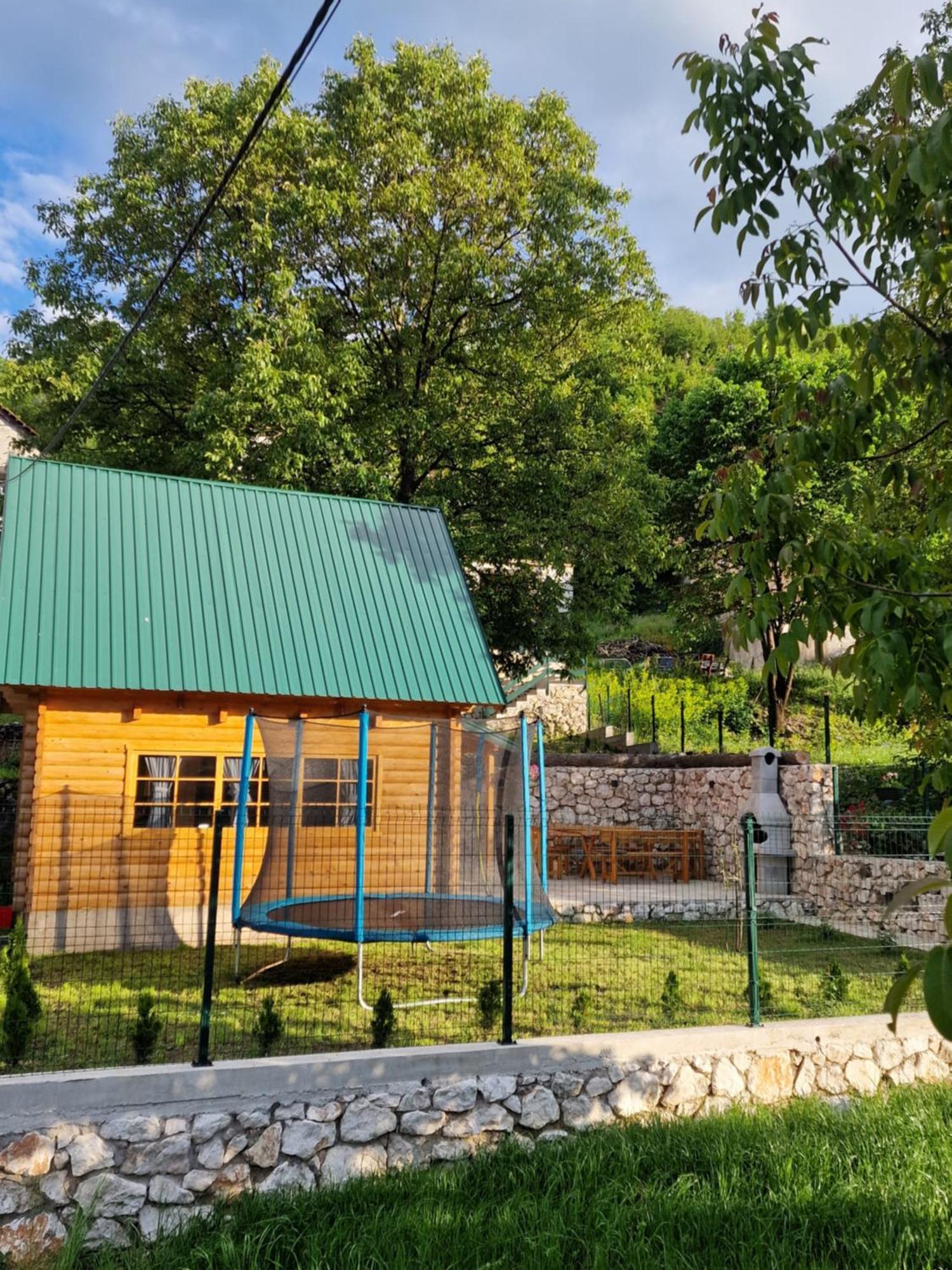 Villa Brvnara Ricki à Cetinje Extérieur photo