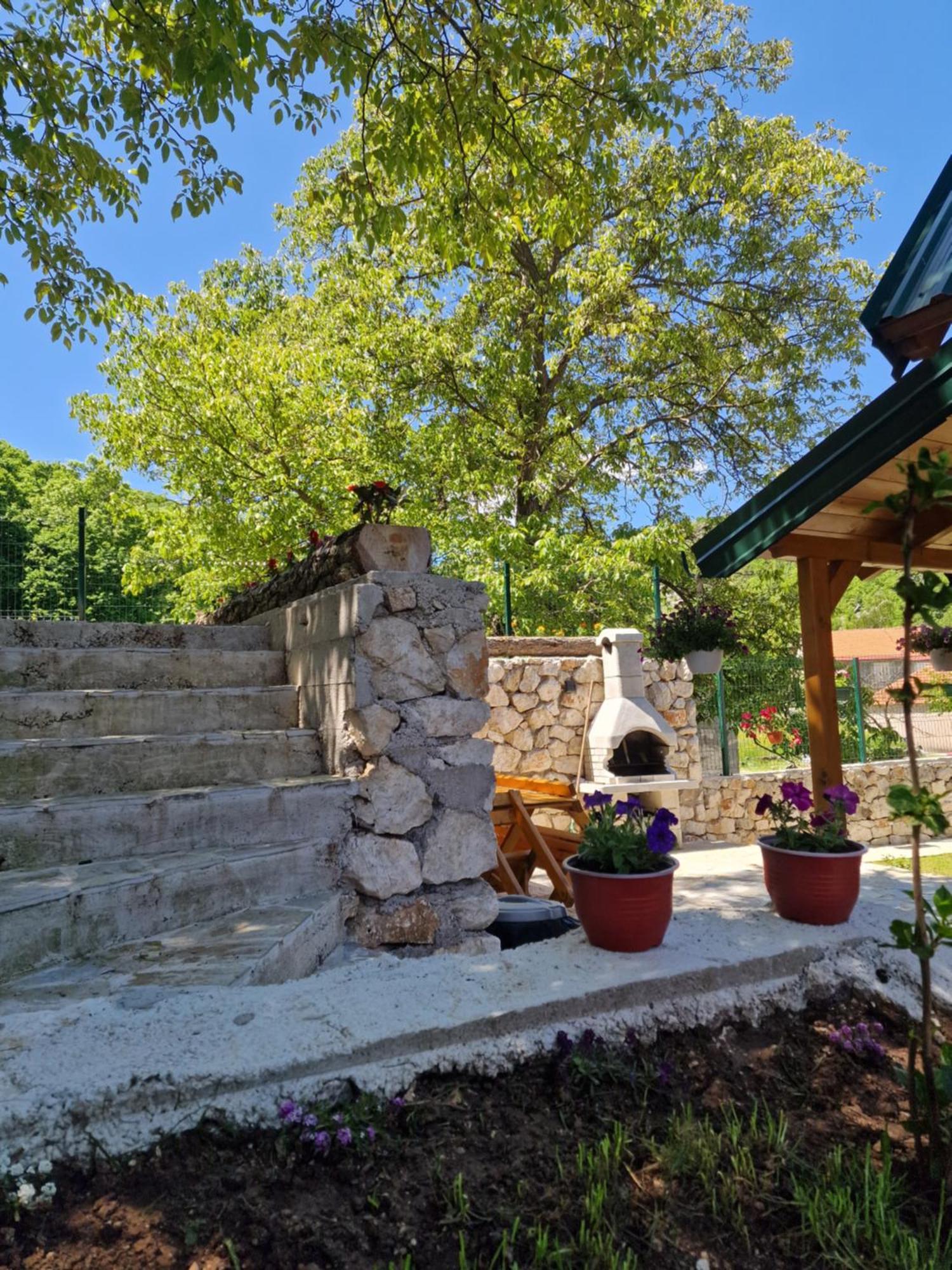 Villa Brvnara Ricki à Cetinje Extérieur photo